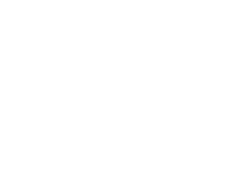 MTZ Services